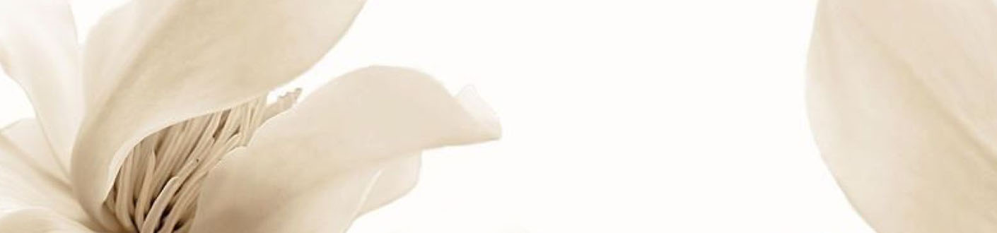 End of Season Sale | Damenkollektion End of Season Sale | Damenkollektion